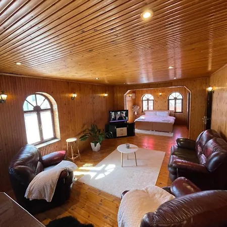 Apartment Alfa Loft *